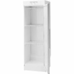Сушильный шкаф BOSCH BTCDC0001B