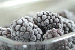 АБСОЛЮТНО СВЕЖИЕ ПРОДУКТЫ ПРЯМО ИЗ МОРОЗИЛЬНИКА