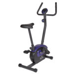 Велотренажер Royal Fitness RF-10 (RFIB-10)
