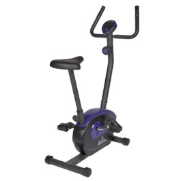 Велотренажер Royal Fitness RF-10 (RFIB-10)